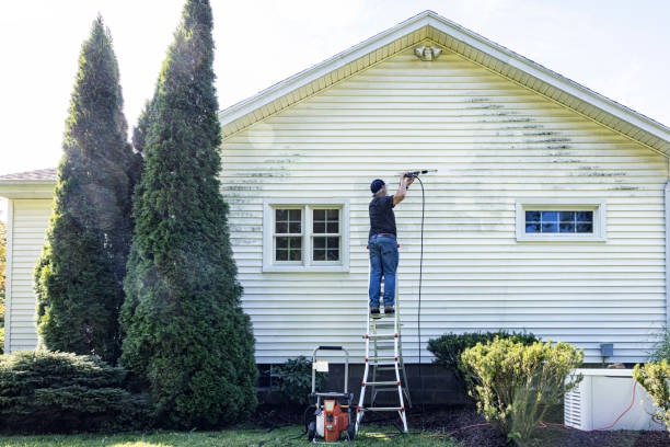 Best Fence Cleaning  in Valley, NE